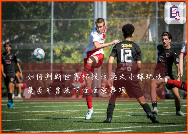 如何判断世界杯投注站大小球玩法是否可靠及下注注意事项